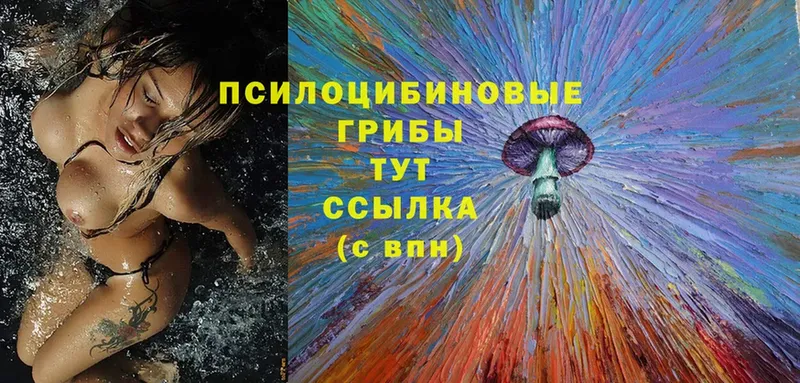 Псилоцибиновые грибы MAGIC MUSHROOMS  Геленджик 